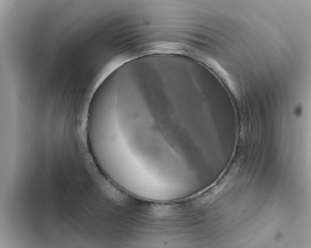 X0000102411378200808151955