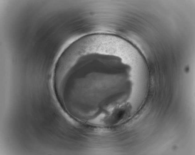 X0000102411379200808151955