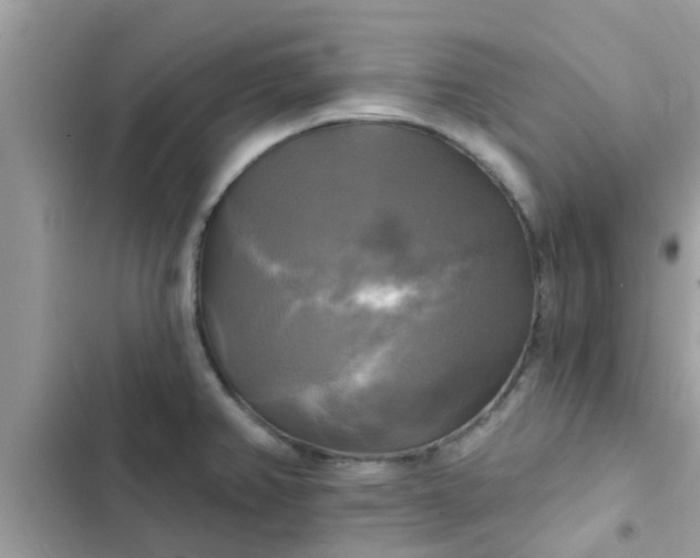 X0000102411382200808151955