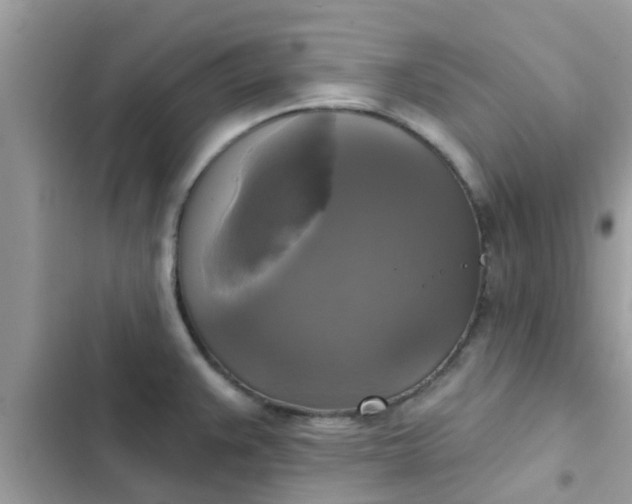 X0000102411383200808151955