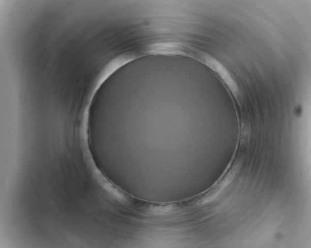 X0000102411386200808151955