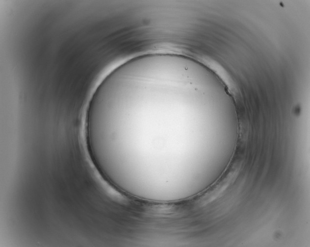 X0000102411387200808151955