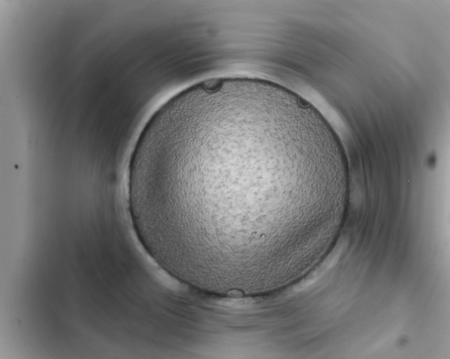 X0000102411388200808151955