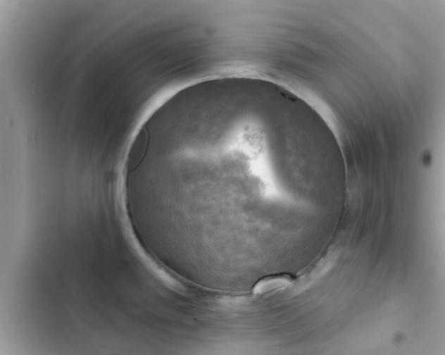 X0000102411389200808151955