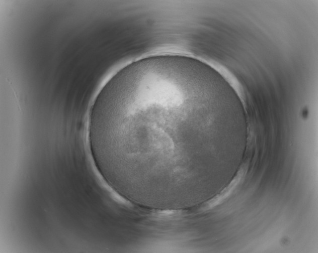 X0000102411390200808151955