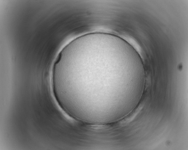 X0000102411391200808151955