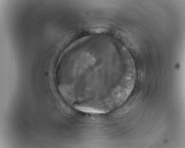 X0000102411393200808151955