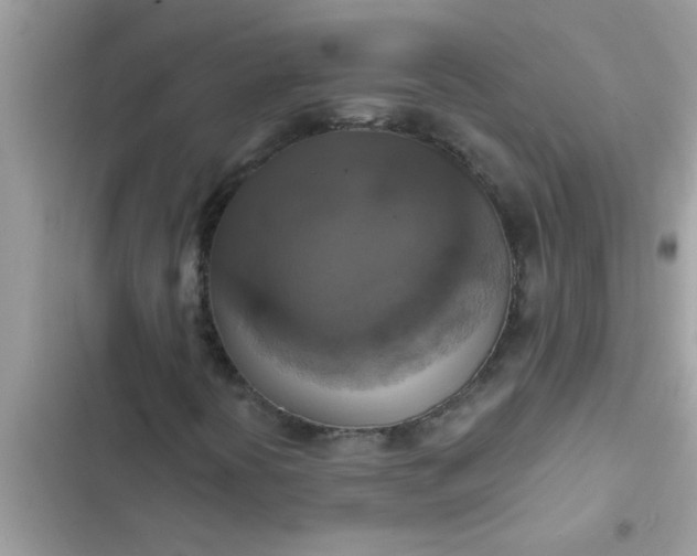 X0000102411394200808151955