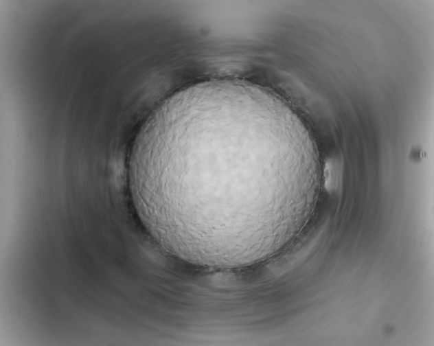 X0000102411395200808151955