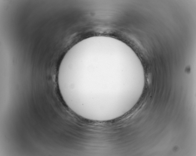 X0000102411396200808151955