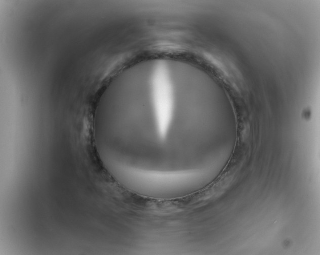 X0000102411397200808151955