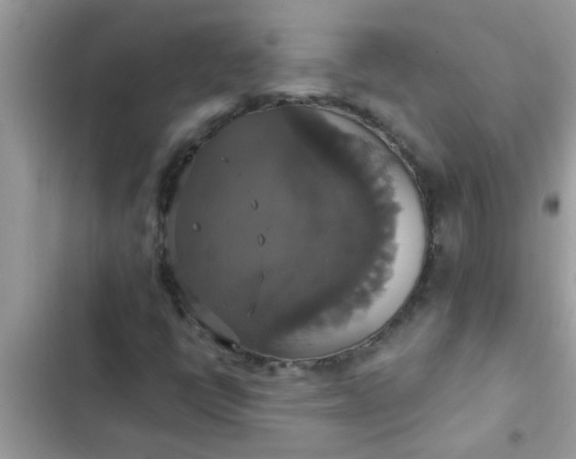 X0000102411398200808151955