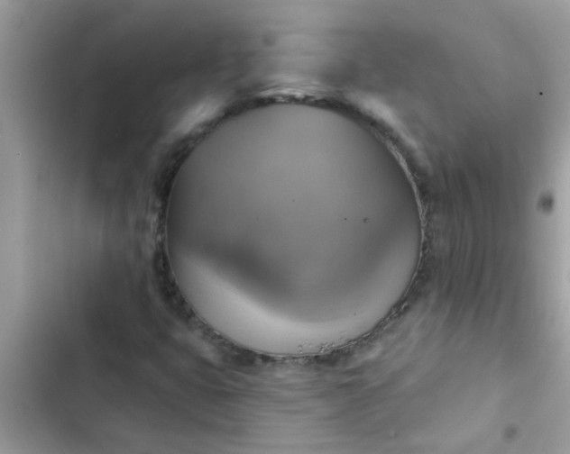 X0000102411399200808151955