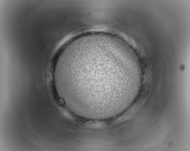 X0000102411400200808151955