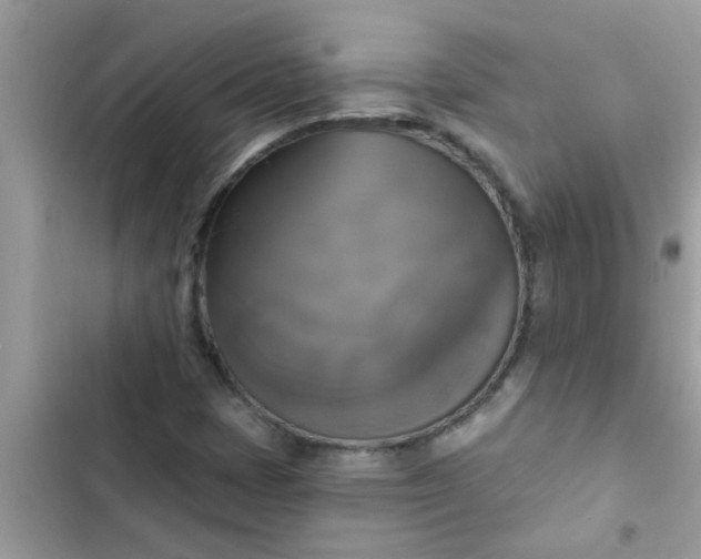 X0000102411401200808151955