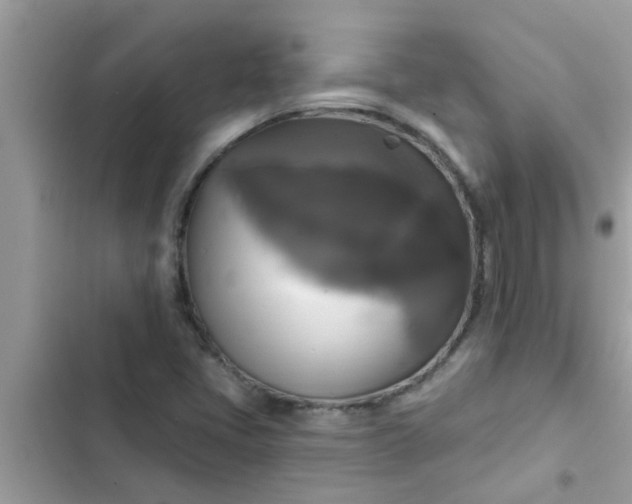 X0000102411405200808151955