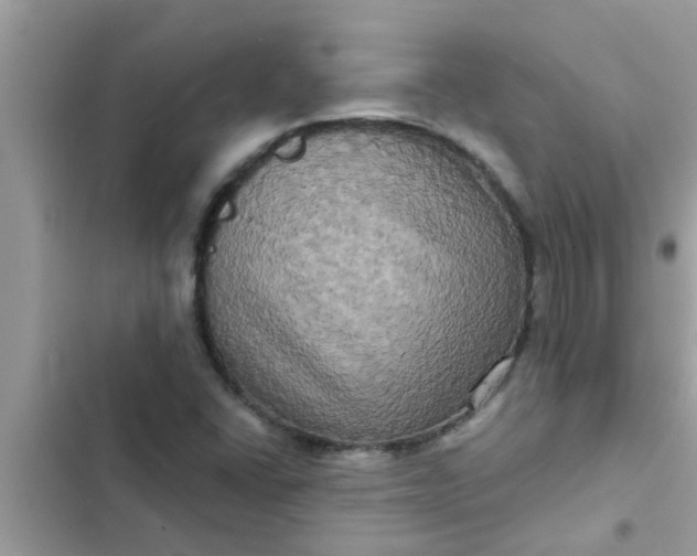 X0000102411406200808151955