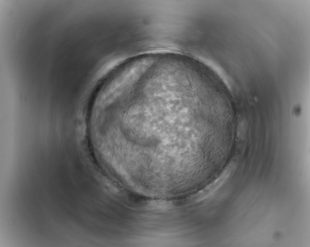 X0000102411407200808151955