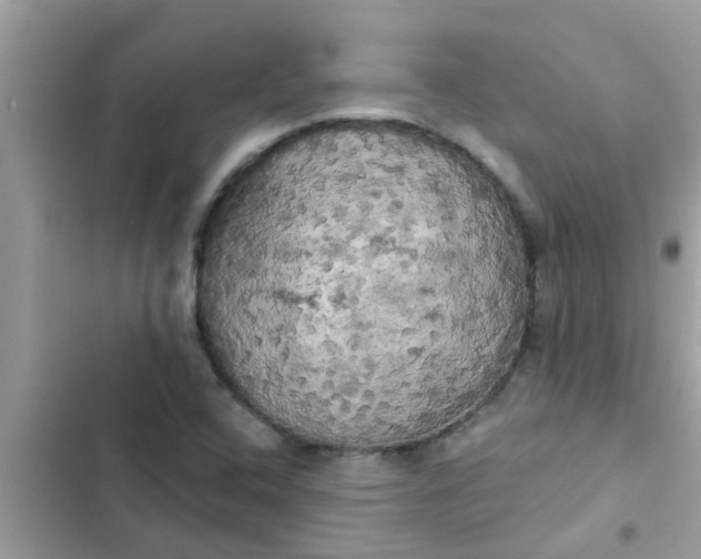 X0000102411408200808151955