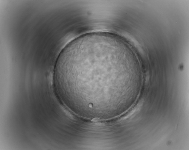 X0000102411409200808151955