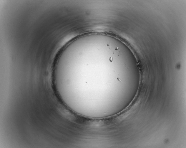 X0000102411410200808151955