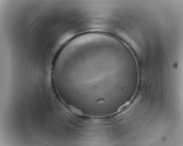 X0000102411411200808151955