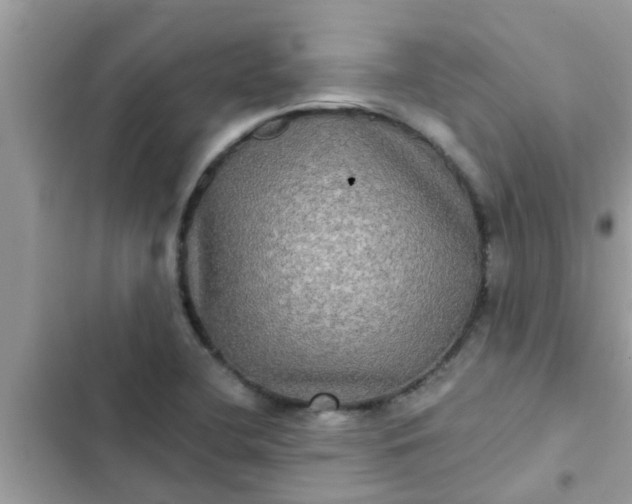 X0000102411412200808151955