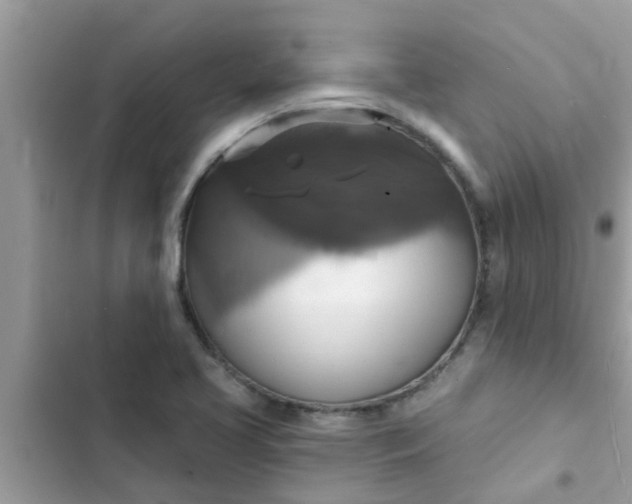 X0000102411413200808151955