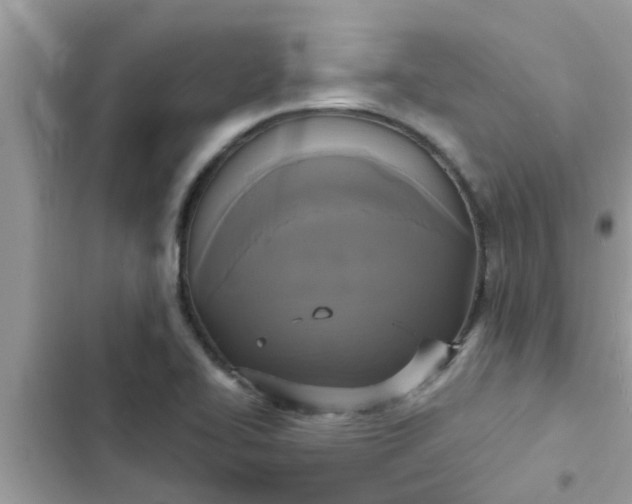 X0000102411414200808151955