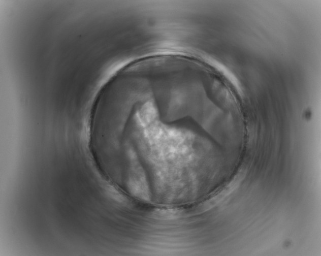 X0000102411415200808151955