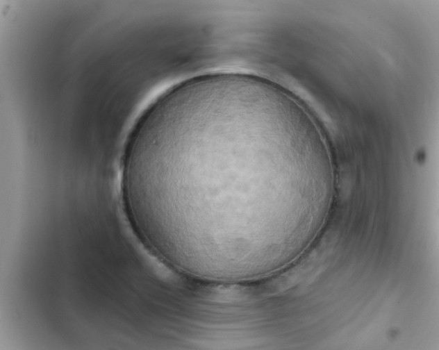 X0000102411416200808151955