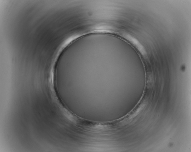 X0000102411419200808151955