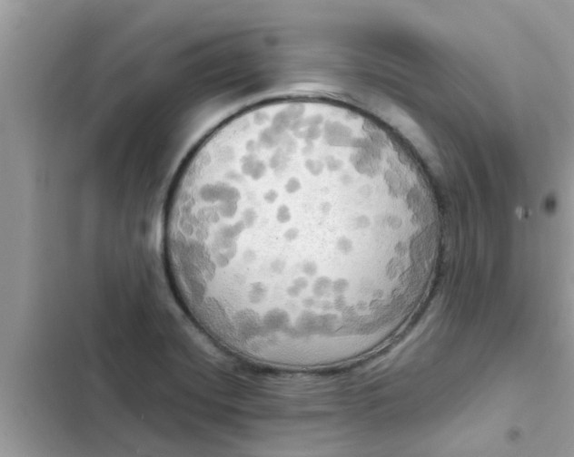 X0000102411420200808151955