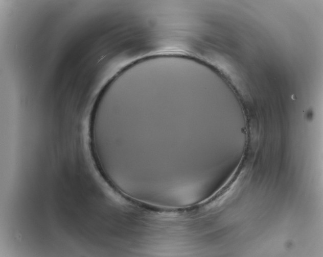 X0000102411422200808151955