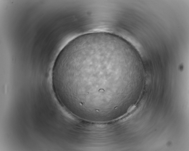 X0000102411423200808151955