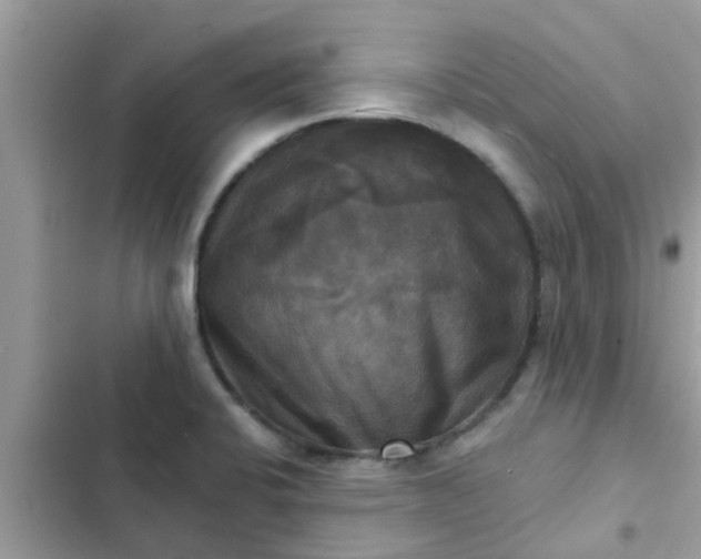 X0000102411424200808151955