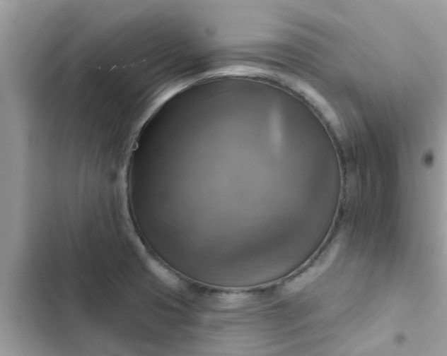 X0000102411425200808151955