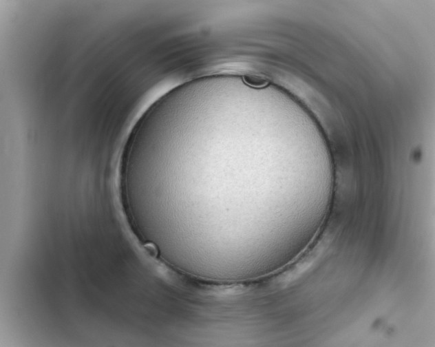 X0000102411426200808151955