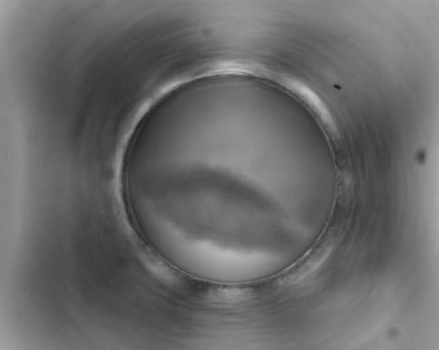 X0000102411427200808151955