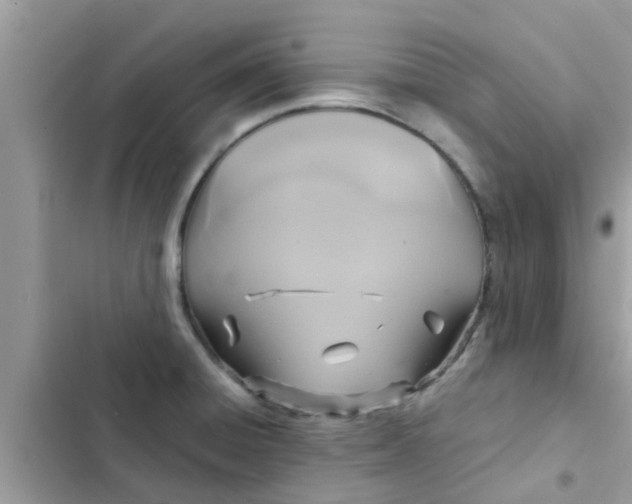 X0000102411428200808151955