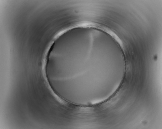 X0000102411429200808151955