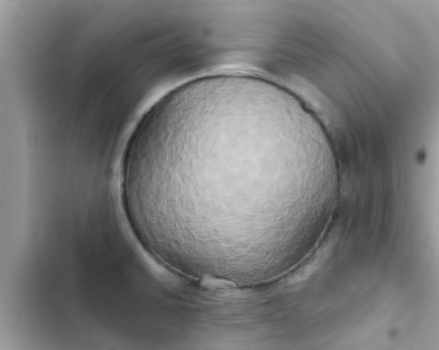 X0000102411430200808151955