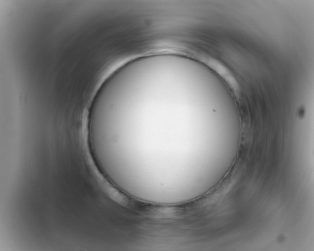 X0000102411431200808151955