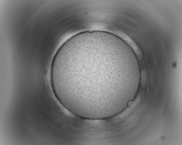 X0000102411432200808151955