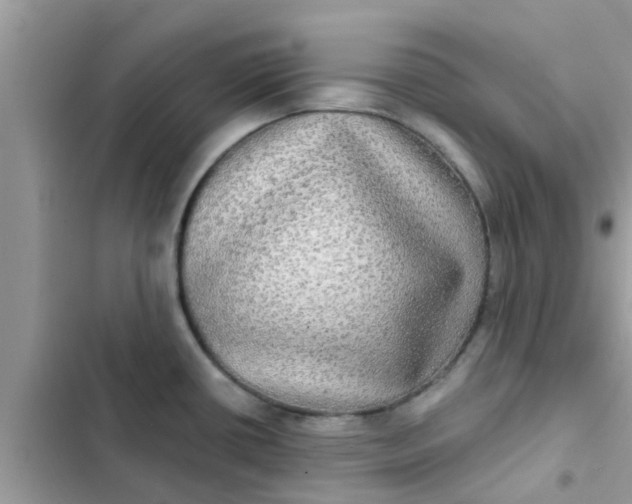 X0000102411434200808151955