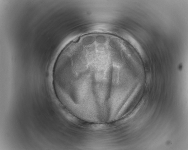 X0000102411435200808151955