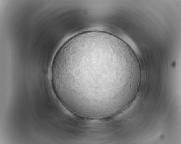 X0000102411436200808151955