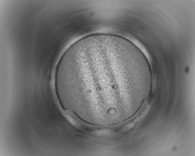 X0000102411437200808151955