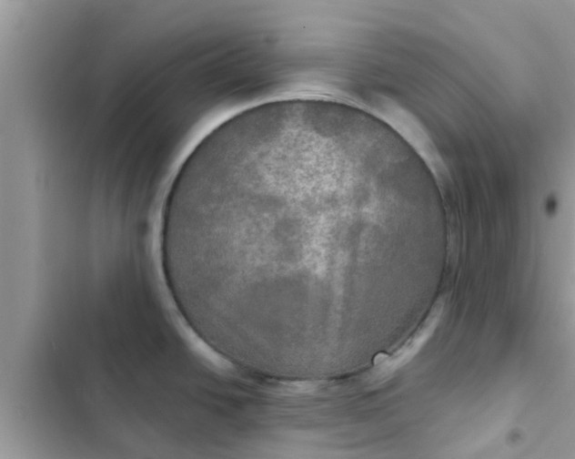 X0000102411438200808151955