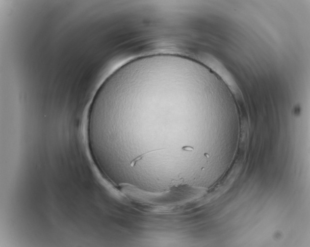 X0000102411439200808151955